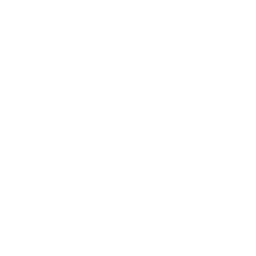 Blossom Leela Logo Holistic Marketing Consultancy and Ethical Brand Strategy Agency